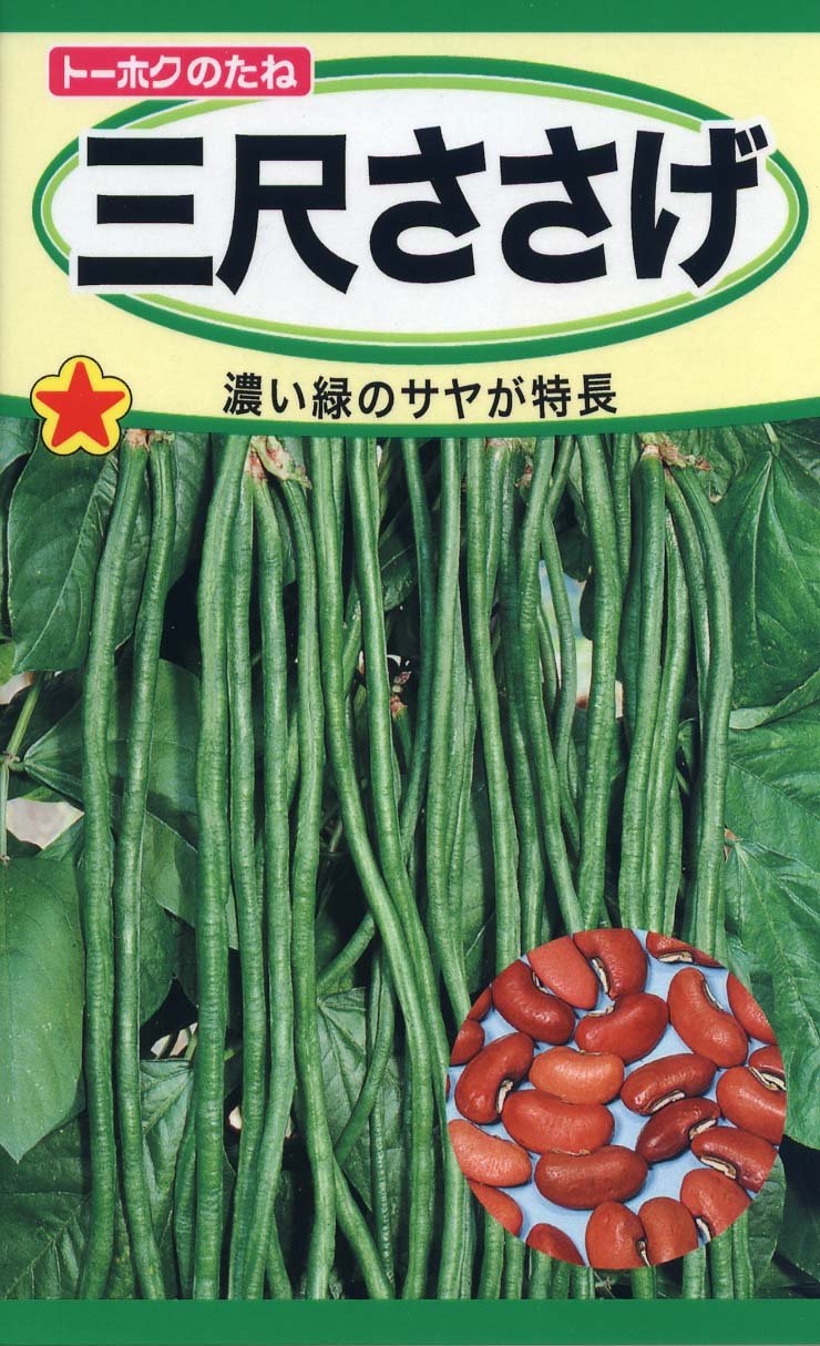 3kg 信州産 ささげ 大角豆 十六ささげ 豇豆 三尺ササゲ 長豆角8